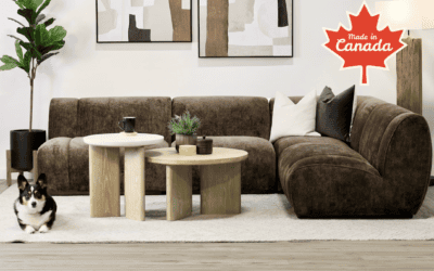 Q Living: A Canadian-Owned Business Dedicated to Quality and Innovation